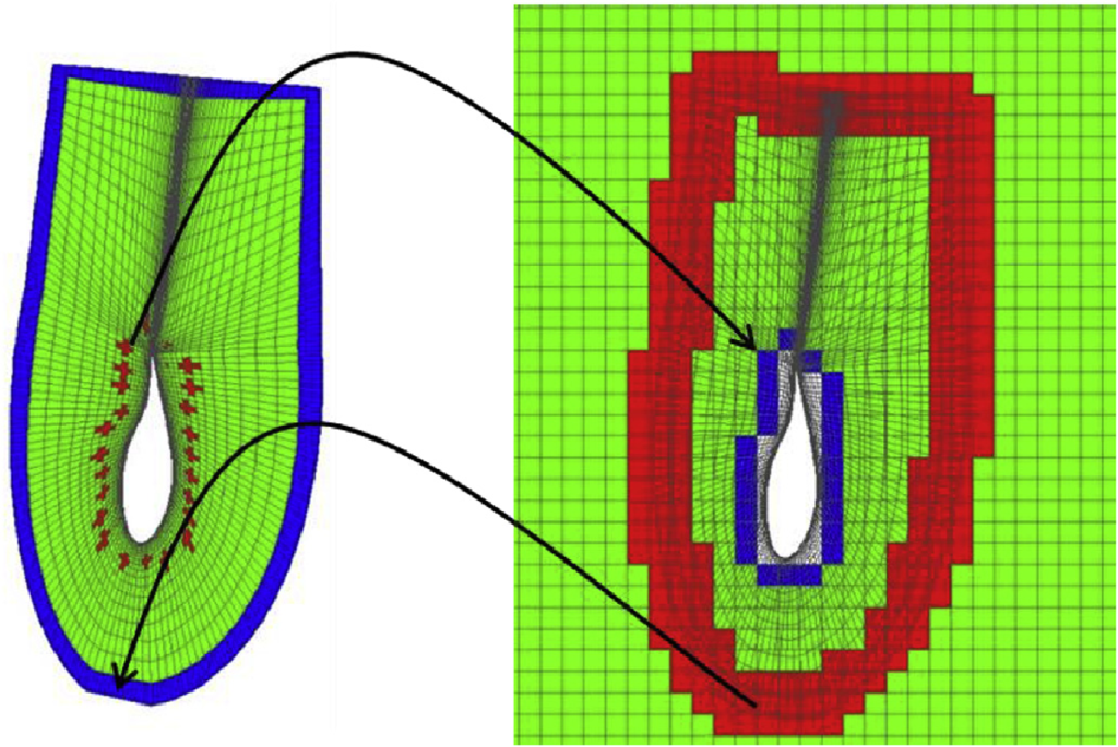 Figure 1 Mesh connectivity technique: (left) component mesh, (right) background and component mesh overlapped. Solve cells are marked in green, donor cells in red and acceptor cells in blue.